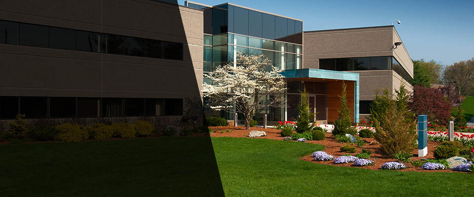Lynn Landscapers