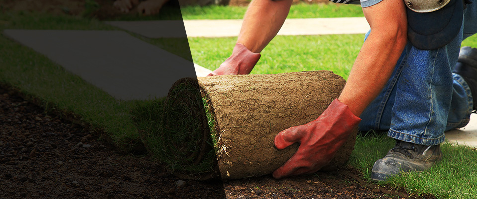Lynn Landscapers